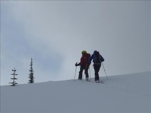 {1963 Carol Guthrie} Kim and Dave leading the way up Sun Bowl