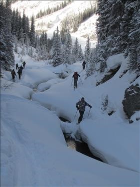 A little creek crossing: French-Haig-Robertson.
