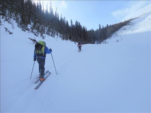 First uptrack to the top of the trees