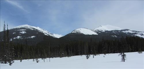 On the Pipestone loop, Whitehorn Mtn on the right