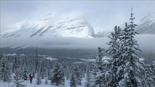 Morning mist, Mt. Whymper