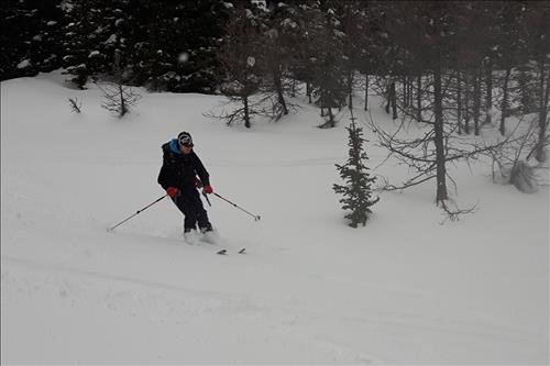 Marg in upper Healy Creek drainage