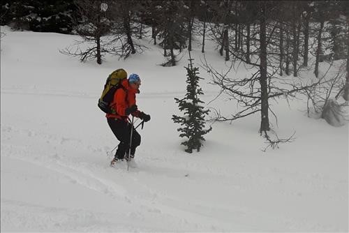 Guest Bill C. in upper Healy Creek drainage