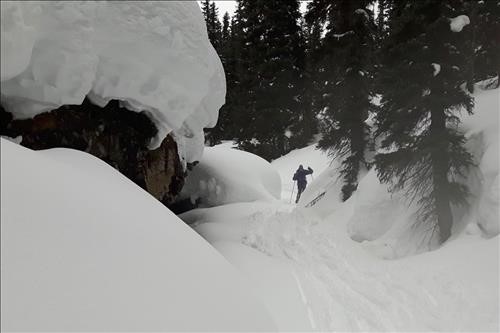 David in Healy Creek
