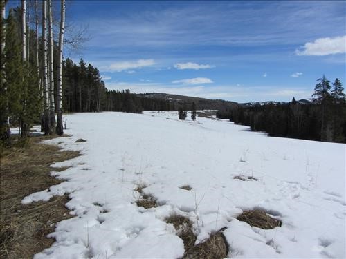 A snowy Long Meadow