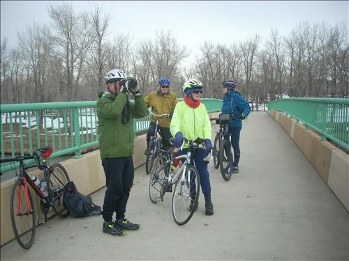 Birding on bridge across Bow River to Fish Creek Park