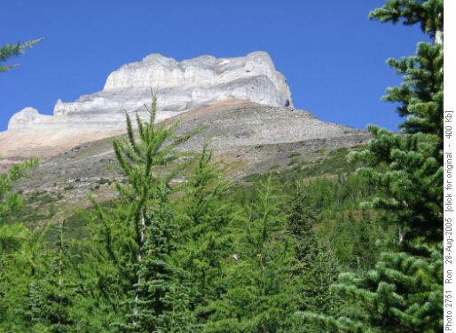 Eiffel Peak from Wenkchemna Pass trail