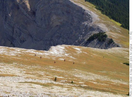 Descent from Sentinel