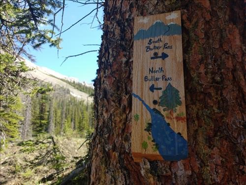 New sign on Buller Pass trail.