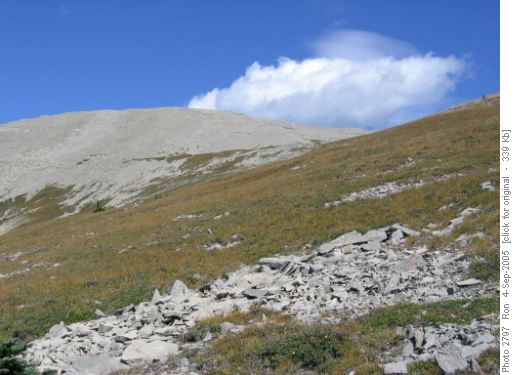 Sentinel Peak: view from treeline