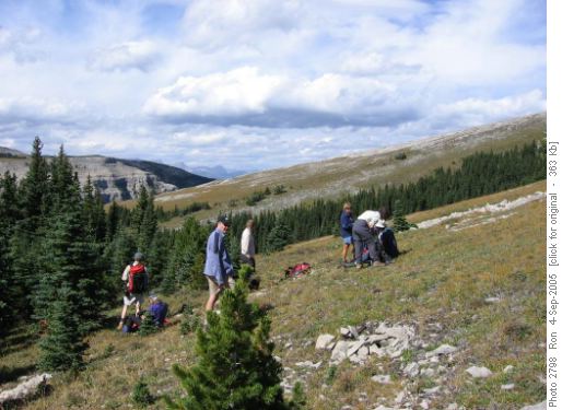 Sentinel Peak: lunch at treeline