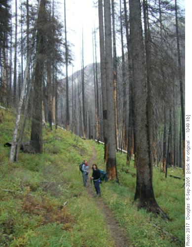 Burn area during descent down Floe Creek