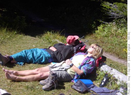 How to Fish for Bears