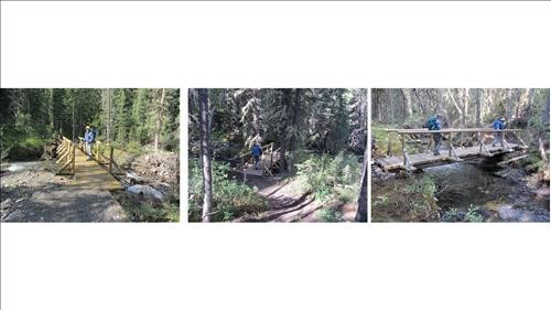 3 new bridges on Wind Ridge trail