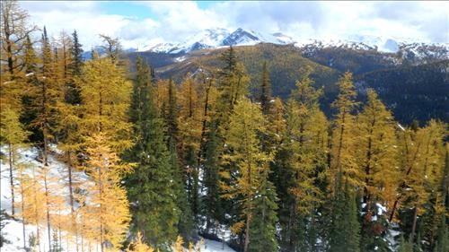 Sunny break, looking toward Copper Mtn..