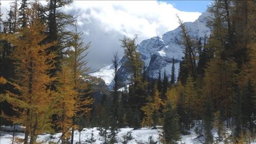 View toward Gibbon Pass