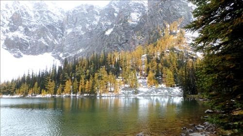 Arnica Lake