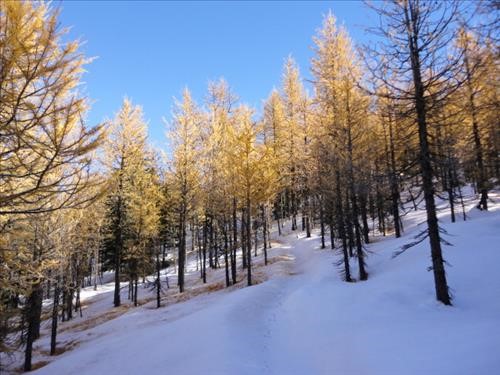 Wonder Pass Trail in Assiniboine Provincial Park: 16 October 2018