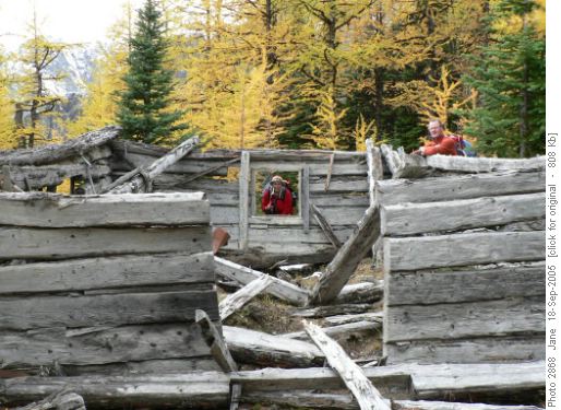 remains of Brewster cabin