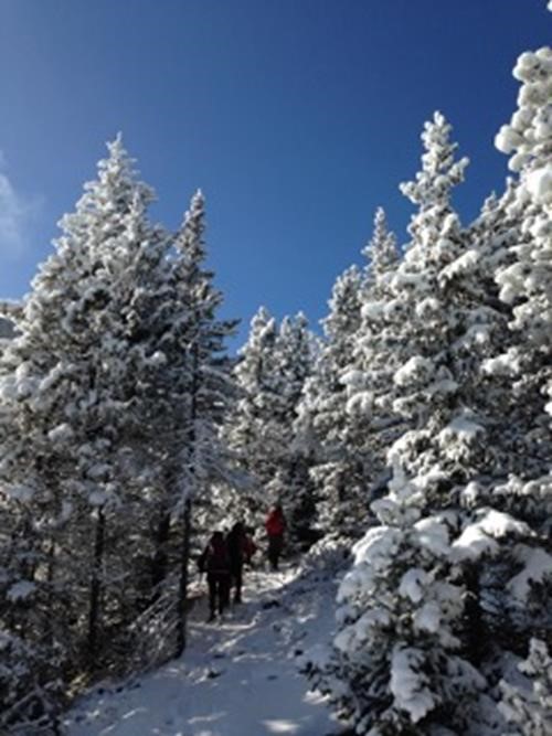 Ascending the snow covered trail