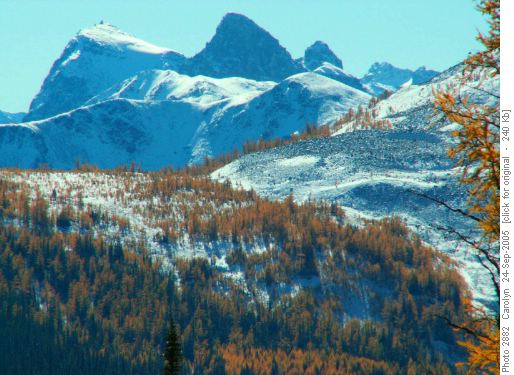 Fall larches - Gibbon Pass