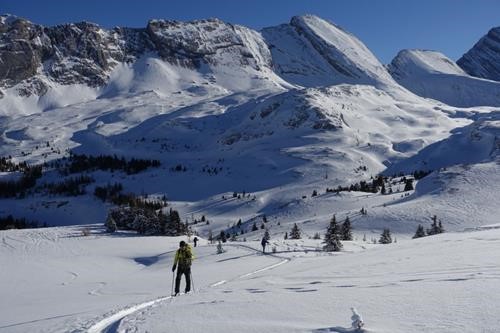 Damian near the Pass