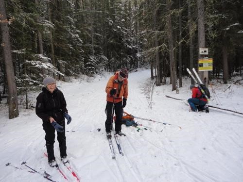 {944 s se},{957 bo we} and {1885 go gi} at Healy Creek and Brewster Creek Trails Intersection. Note 5 cms snow depth