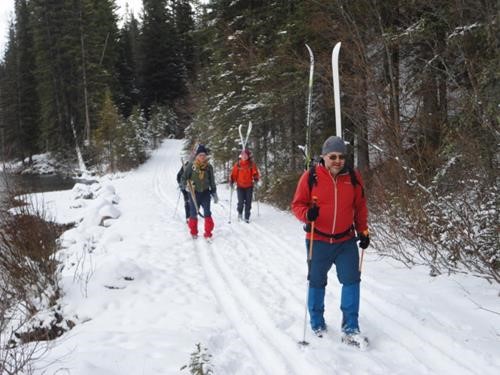 Poor skiing on Healy Creek Trail near Sunshine Road
