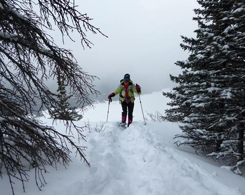Yolande on snowshoes ;)