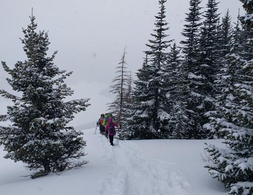 Good snow higher up to warrant snowshoes.