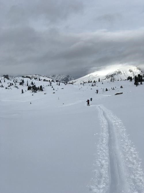 Coming back into Sunshine ski area