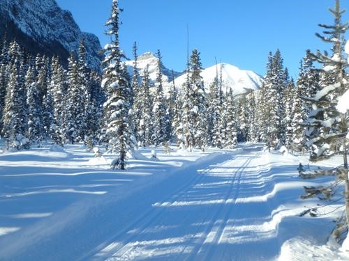 Fairview trail in great shape