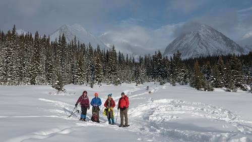 Ramblers in the Meadows approaching Chester Lake: Barb, Carl, Mo and Doug.