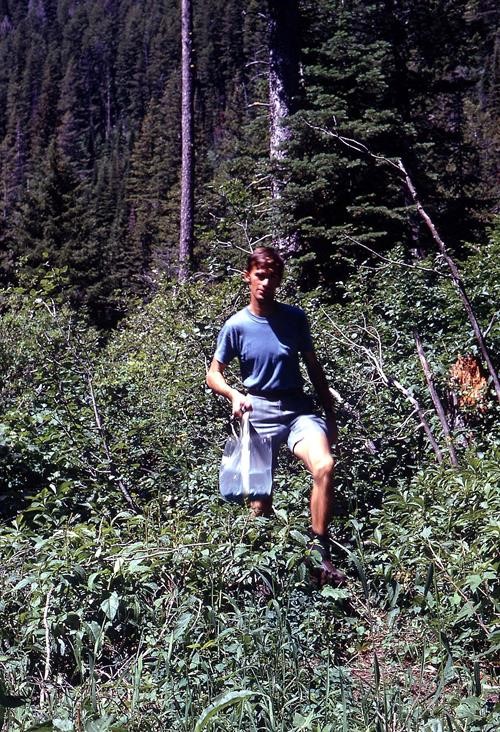 Brian Crummy, Glacier USA 1972