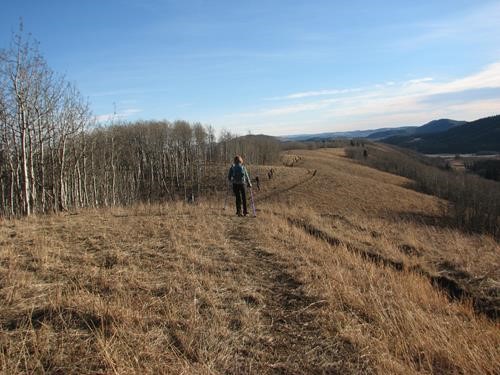 Hiking along Carry Ridge in toasty 15C sunshine