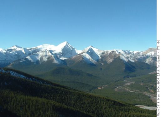 Forget-me-not summit view