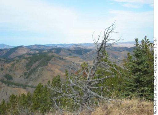 Willow Creek Hills