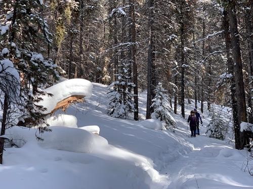 Up from Moose Meadows