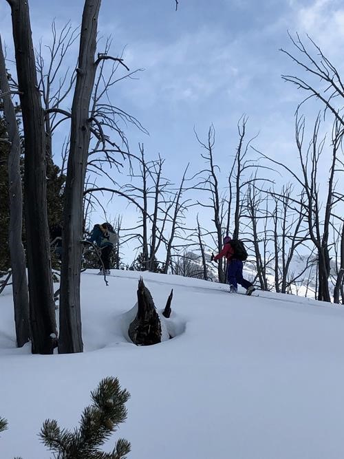 Out of the thick trees and into more open area