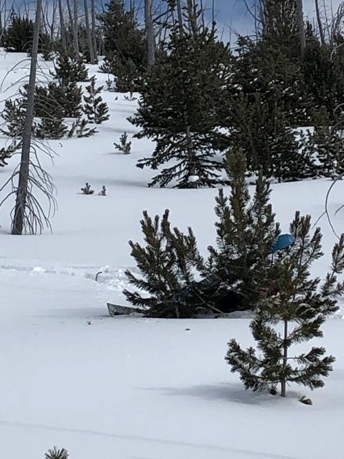 It you look closely, you will see skis in that tree. Gary went in for the up close and personal look at this tree. Too bad we can't update video, cuz I caught him in action.