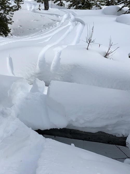 It was quite the trip down as the deadfall wasn't always well covered. I was lucky to get across these 2 gaps.