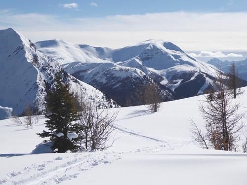 Towards Lipalian 