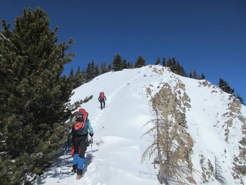 Heading up one of the short steep sections on the upper ridge
