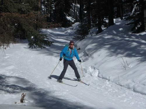 Margo skiis past ice flow