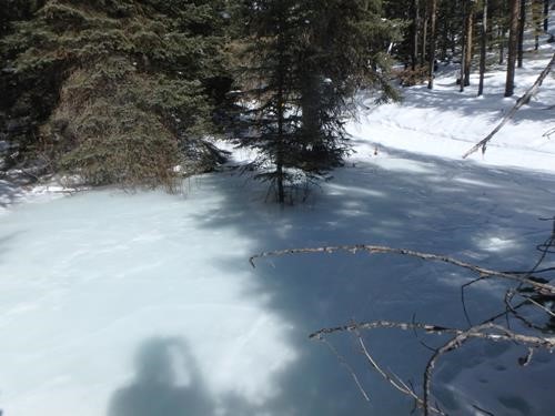 The second ice flow