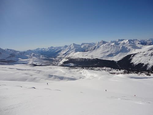 View south from Crystal Ridge, near Amiskwi Lodge, BC