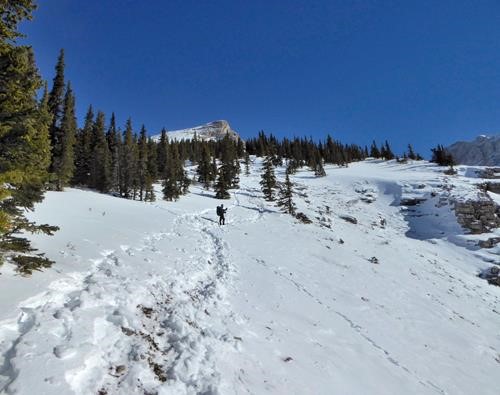 Brian on the way up, Little Lougheed poking through the trees.