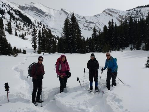 Lady Ramblers in the meadows.