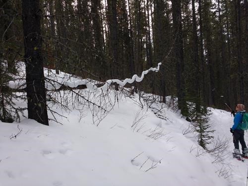 Margo admiring snow snake.