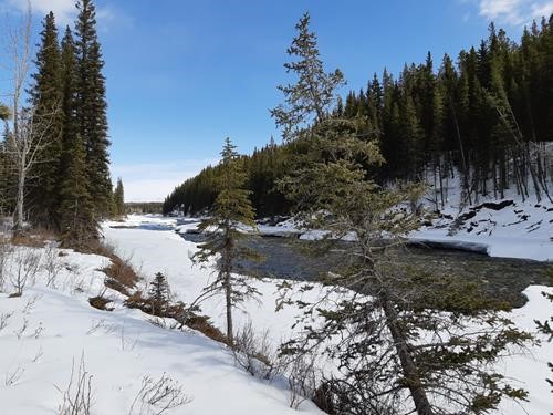 Elbow River